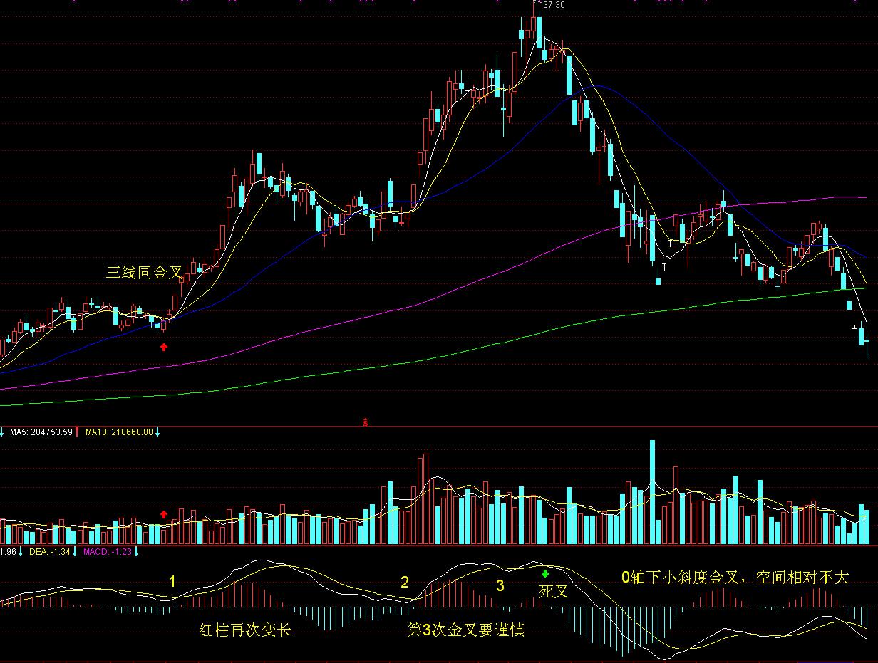 美股异动 | Q2财报超预期 Lemonade(LMND.US)涨超30%