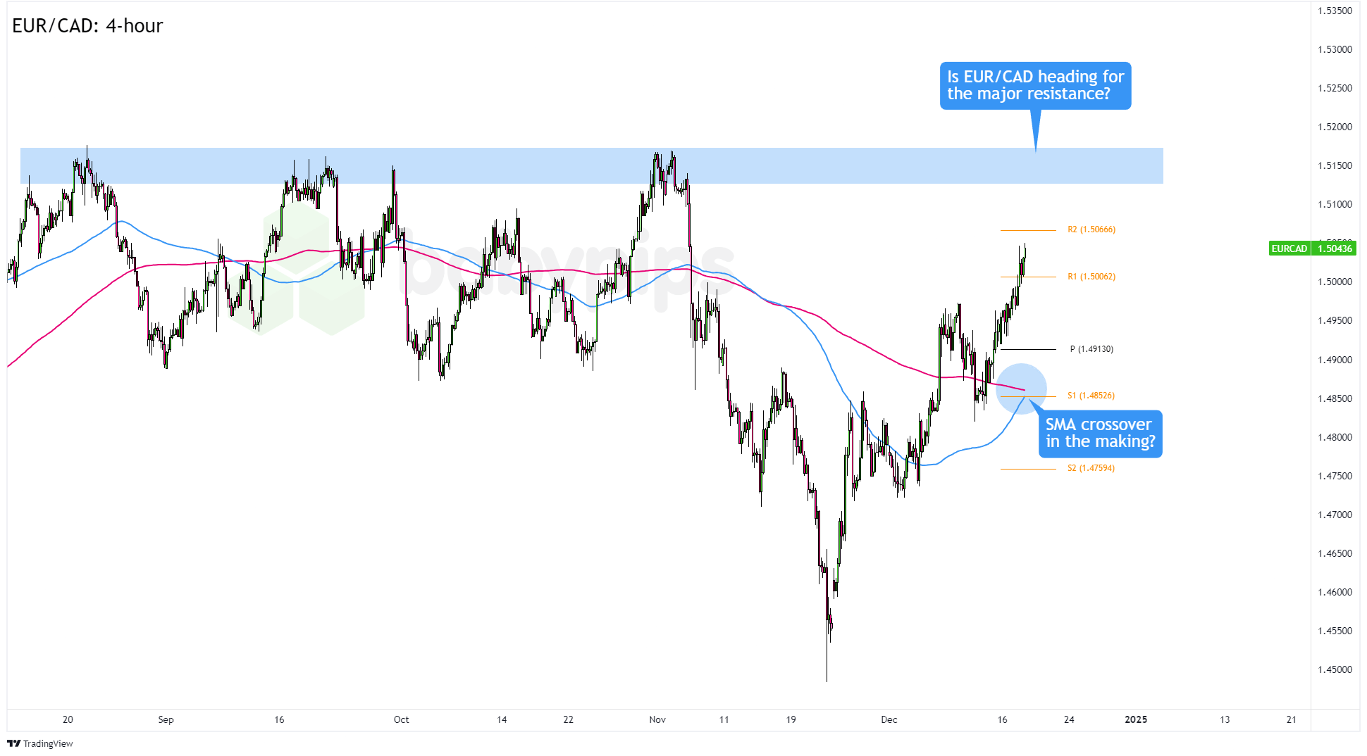 全市农业农村重点工作分析调度会召开