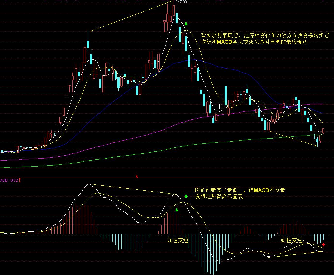 港交所上市主管伍洁镟:优化新股市场定价机制以平衡机构与散户分配并提升定价准确性