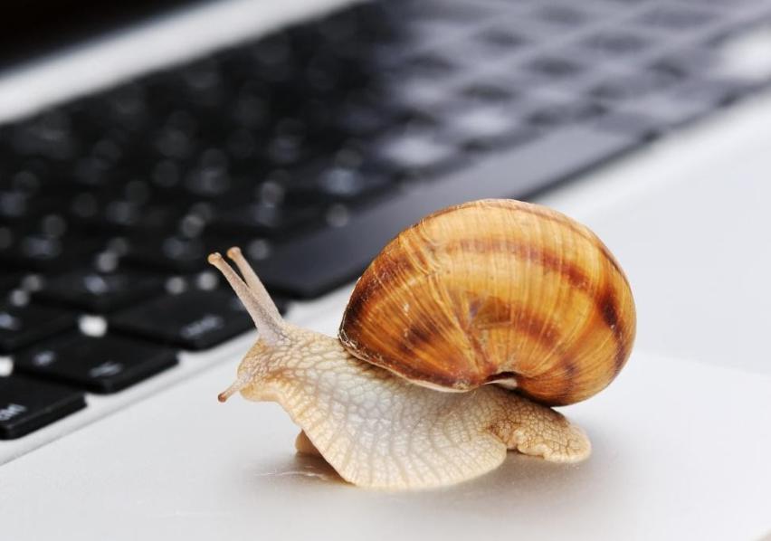 泰康第24届世纪圣典入围人员,HWP占比超40%